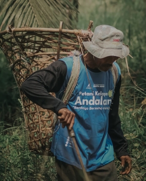 anak kelapa crop